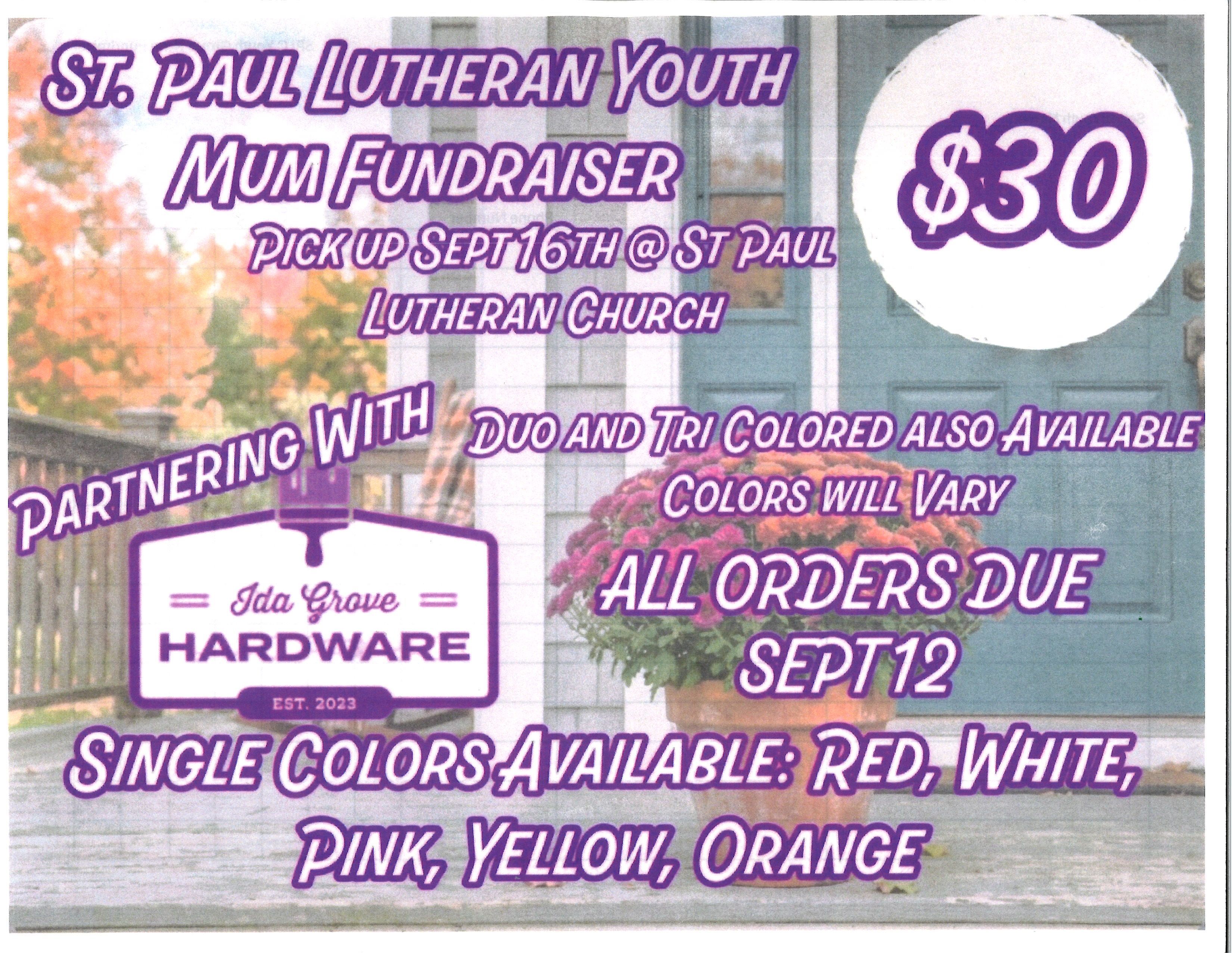 Youth Mum Sale